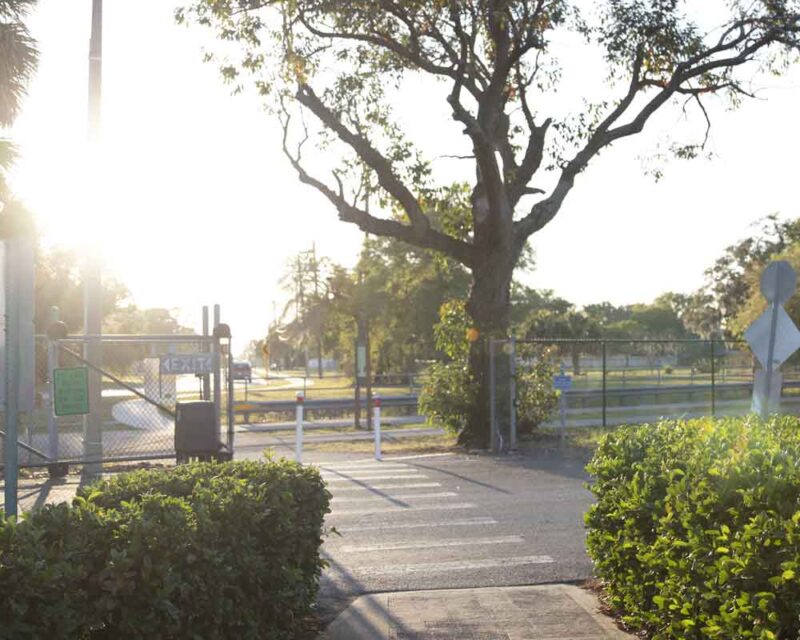 Donate to the Trees For The Trail Fund for the Friends of the Pinellas Trail