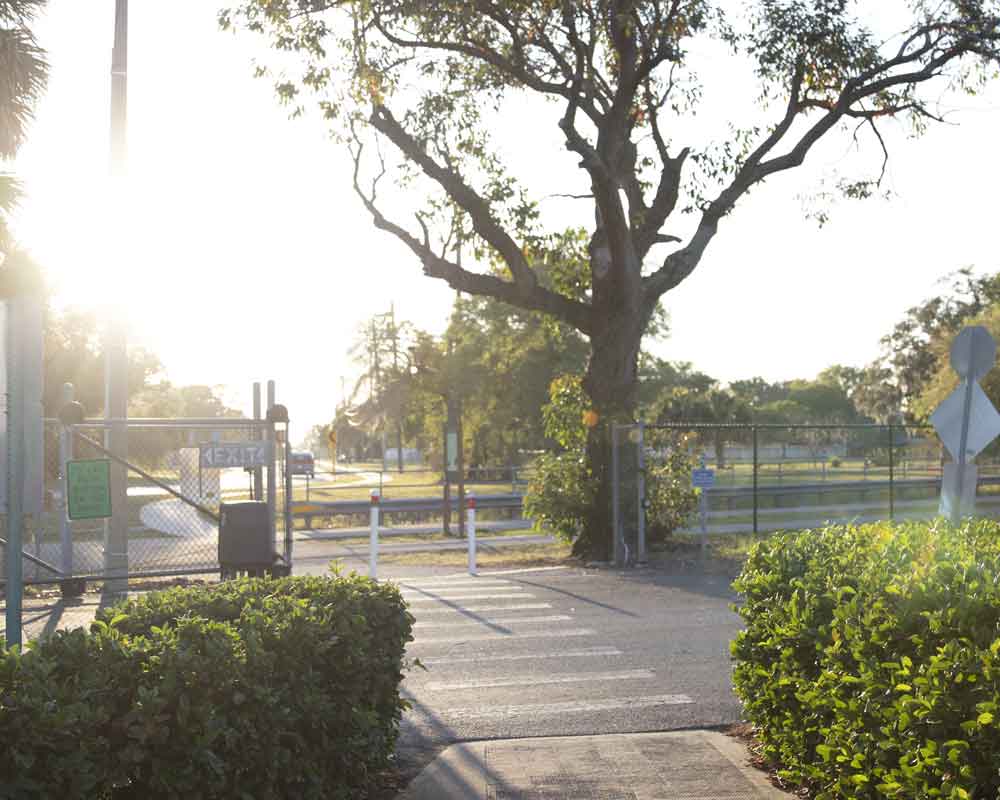 Donate to the Trees For The Trail Fund for the Friends of the Pinellas Trail